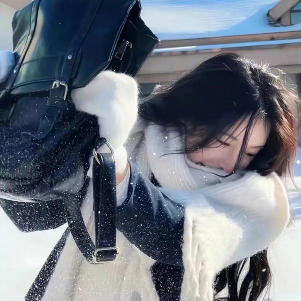 哈莱姆的郁金香