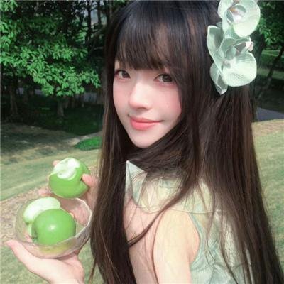 海豚的故事2